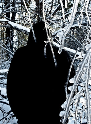 Gary Briechle: Maine by Briechle, Gary