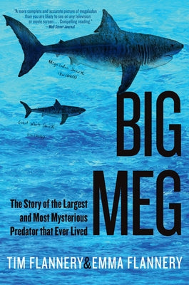 Big Meg: The Story of the Largest and Most Mysterious Predator That Ever Lived by Flannery, Tim