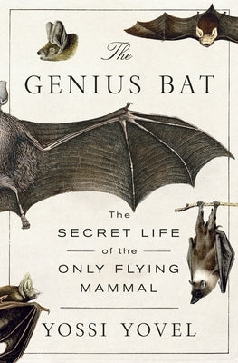 The Genius Bat: The Secret Life of the Only Flying Mammal by Yovel, Yossi