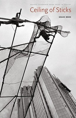 Ceiling of Sticks by Book, Shane