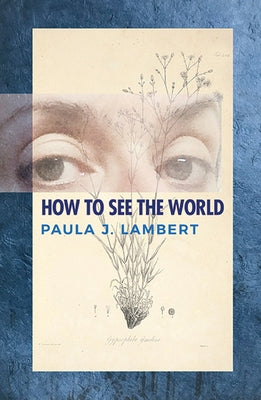 How to See the World: Poems by Lambert, Paula J.