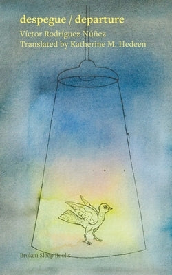 despegue / departure by Rodríguez Núñez, Víctor