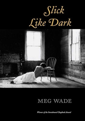 Slick Like Dark by Wade, Meg