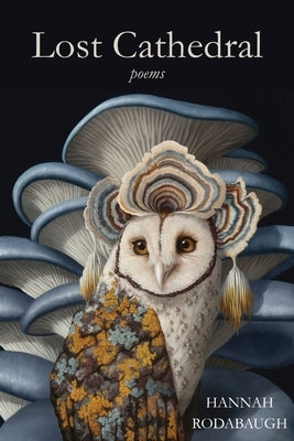 Lost Cathedral by Rodabaugh, Hannah