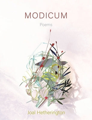 Modicum: Poems by Hetherington, Joal