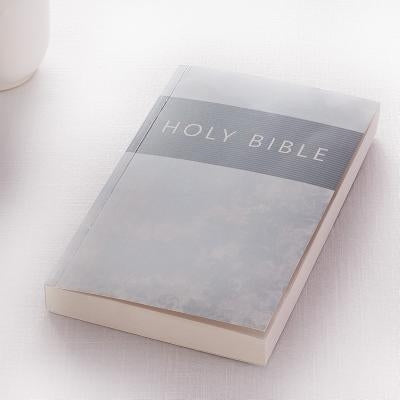 KJV Budget Softcover Silver by