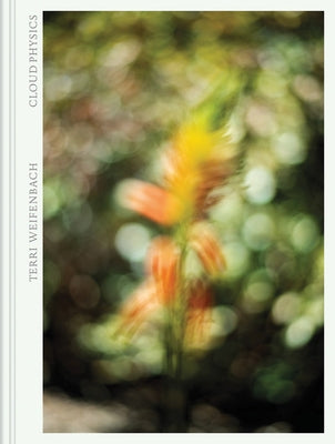Terri Weifenbach: Cloud Physics by Weifenbach, Terri