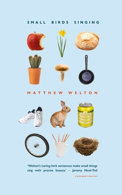 Small Birds Singing by Welton, Matthew