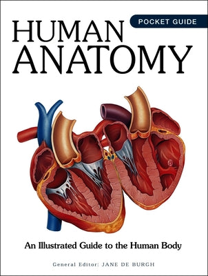 Human Anatomy: An Illustrated Guide to the Human Body by de Burgh, Jane