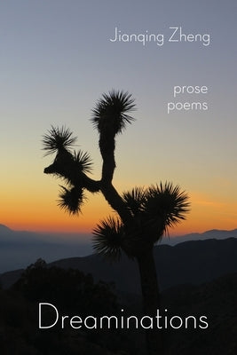 Dreaminations: Prose Poems by Zheng, Jianqing
