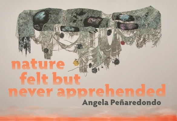 Nature Felt But Never Apprehended by Pe?aredondo, Angela