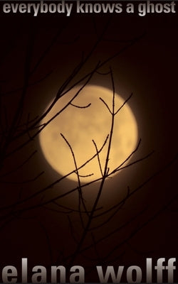Everybody Knows a Ghost by Wolff, Elana