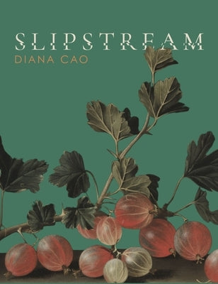 Slipstream by Cao, Diana