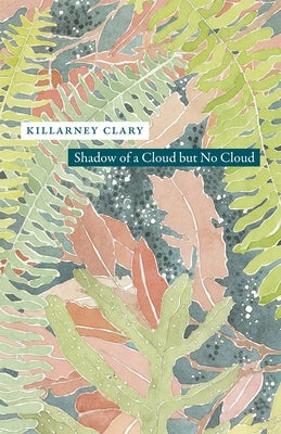 Shadow of a Cloud but No Cloud by Clary, Killarney
