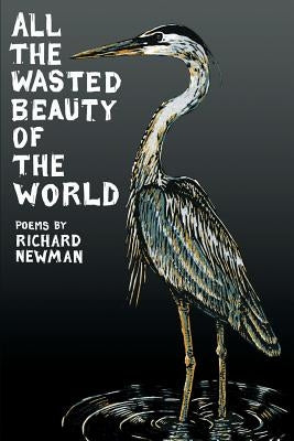 All the Wasted Beauty of the World - Poems by Newman, Richard