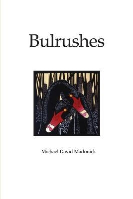 Bulrushes by Madonick, Michael David