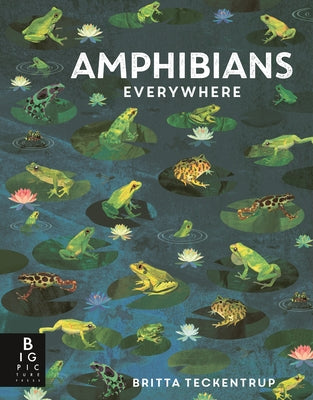 Amphibians Everywhere: (A Kids' Nonfiction Science and Nature Book about Frogs, Toads, Newts, Salamanders, and Habitats for Ages 6-9) by de La Bedoyere, Camilla
