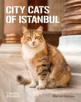 City Cats of Istanbul by Heijnen, Marcel