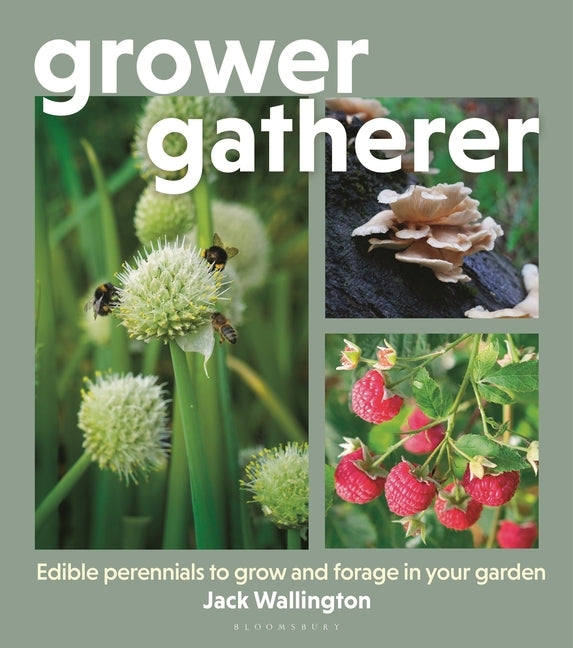Grower Gatherer: Edible Perennials to Grow and Forage in Your Garden by Wallington, Jack