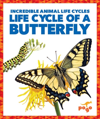 Life Cycle of a Butterfly by Kenney, Karen