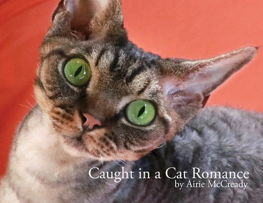 Caught in a Cat Romance by McCready, Airie