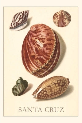 Vintage Journal Santa Cruz Shells by Found Image Press