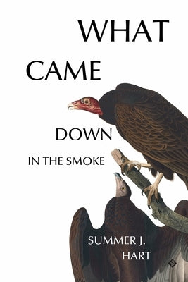 What Came Down in the Smoke by Hart, Summer J.