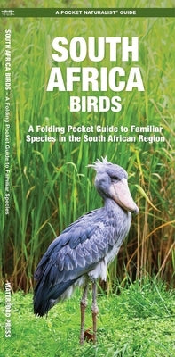 South Africa Birds by Kavanagh, James