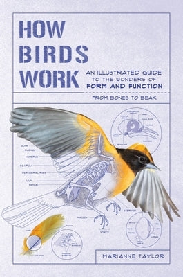 How Birds Work: An Illustrated Guide to the Wonders of Form and Function - From Bones to Beak by Taylor, Marianne