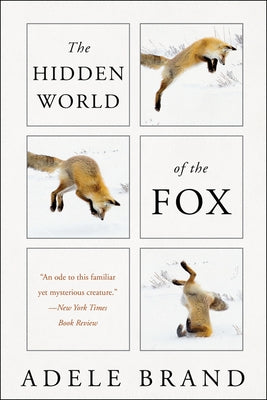 The Hidden World of the Fox by Brand, Adele