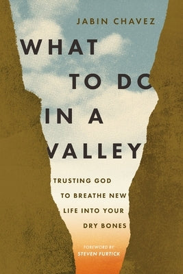 What to Do in a Valley: Trusting God to Breathe New Life Into Your Dry Bones by Chavez, Jabin