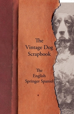 The Vintage Dog Scrapbook - The English Springer Spaniel by Various