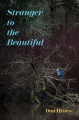 Stranger to the Beautiful by Hynes, Don