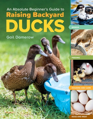 An Absolute Beginner's Guide to Raising Backyard Ducks: Breeds, Feeding, Housing and Care, Eggs and Meat by Damerow, Gail