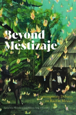 Beyond Mestizaje: Contemporary Debates on Race in Mexico by Ang, Milena