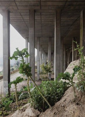 Notes from the Underdog: Agriculture for Subsistence in Porto by Wriedt, John
