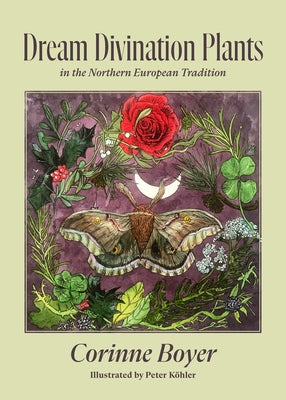 Dream Divination Plants: In Northwestern European Traditions by Boyer, Corinne