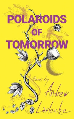 Polaroids of Tomorrow by Lafleche, Andrew