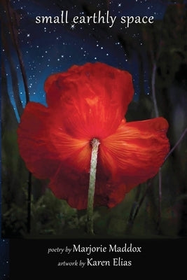 Small Earthly Space by Maddox, Marjorie