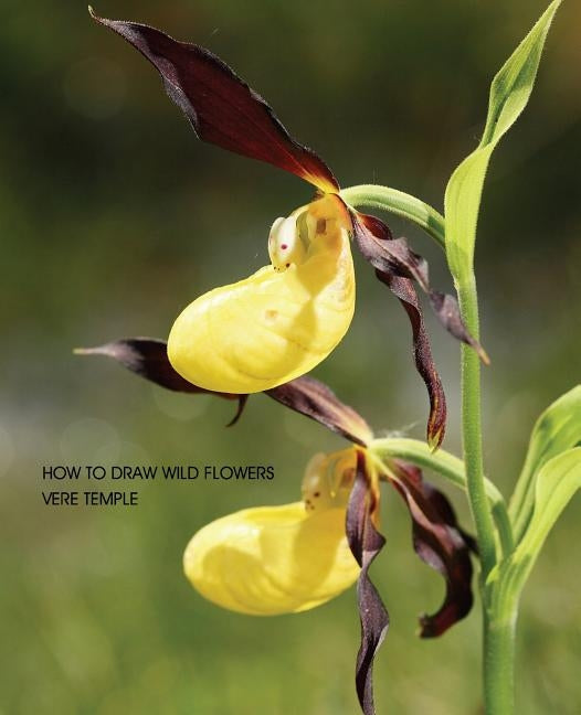 How to Draw Wild Flowers (Replica Edition) by Temple, Vere