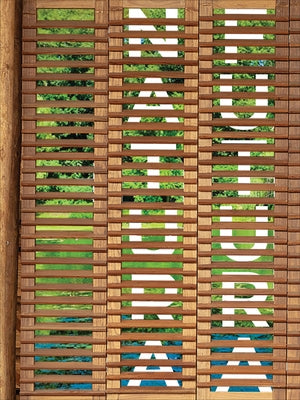 Natura Futura by Griborio, Andrea