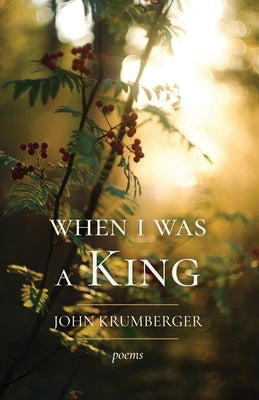 When I Was a King by Krumberger, John