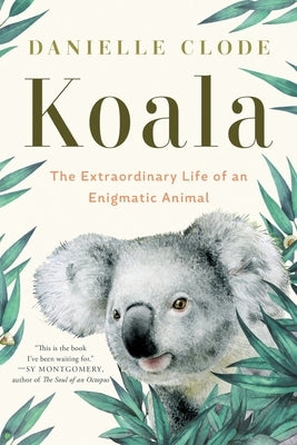 Koala: The Extraordinary Life of an Enigmatic Animal by Clode, Danielle