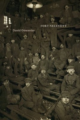 Fort Necessity by Gewanter, David