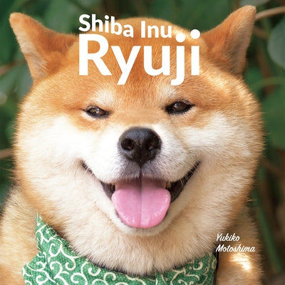 Shiba Inu Ryuji by Motoshima, Yukiko