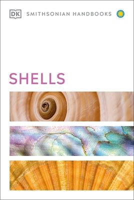 Shells by DK