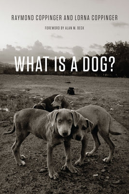 What Is a Dog? by Coppinger, Raymond