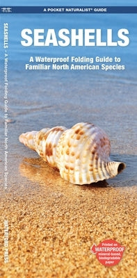 Seashells: A Waterproof Folding Guide to Familiar North American Species by Kavanagh, James