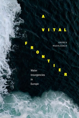 A Vital Frontier: Water Insurgencies in Europe by Muehlebach, Andrea