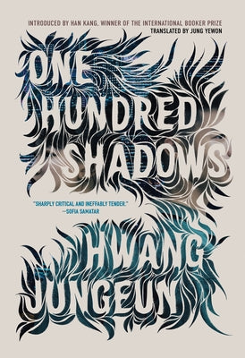 One Hundred Shadows by Jungeun, Hwang